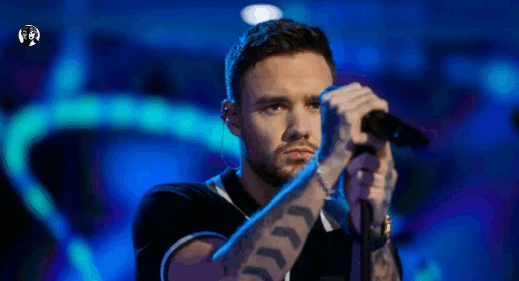 Liam Payne Net Worth